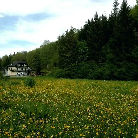 The Bears Lair * Velike Lasce
